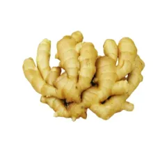 Fresh Dried Ginger Price Per Kg Dry Ginger Chinese Adrak Low Price New Crop High Quality Ginger Fresh for Wholesale