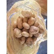Organic Fresh Natural High Quality China Yellow Fresh Shandong Holland Long Shape Potato Wholesale Supplier