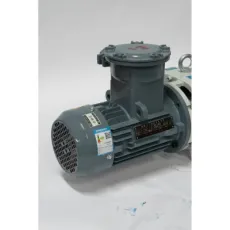 Oil-Free Scroll Dry Vacuum Pump 20 L/S Air Cooling