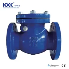 Pn16 Duction Cast Iron Body Flang Swing Check Valve