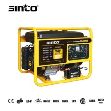 50Hz 7.5kw 230V 60Hz 8kw 120V High Power Gas Generator with Ce/Noise and Other Certification