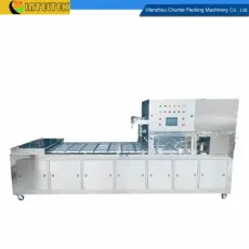Automatic Linear Type Lunch Fast Food Tofu Box Container Tray Sealer Cat Food Aluminum Box Heat Sealing Machine