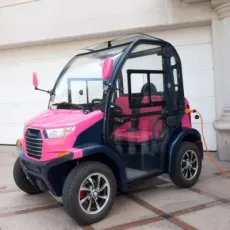 Electric Sightseeing Bus Golf Wholesale Battery Passenger Electric Small Car Mini Car 2 Seater