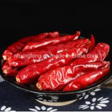 New Crop Factory Premium Qaulity Dry Red Tianjin Chilli Sanying Chilli /Red Cayenne Pepper/ Japones Chile