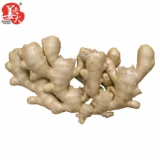 Chinese Selected Delicious Organic Yellow Air Dry Ginger