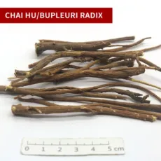 High Quality Chinese Traditional Herbal Raw Heb Chai Hu Bupleuri Radix in Section