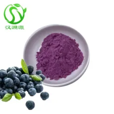ISO Factory Blueberry Fruit Powder Blueberry Fruit Juice Powder Blueberry Extract Powder