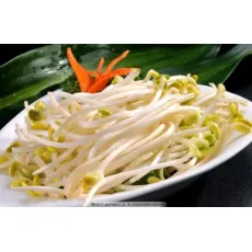 Health and Organic Baby Food Canned Food Canned Vegetable Green Mung Bean Sprouts in Water/in Brine Ready to Eat