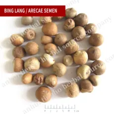 High Quality Bing Lang Traditional Chinese Herbal Medicine Arecae Semen Betel Nut Chinese Herb Seeds
