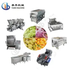 Industrial SUS304 Vegetable/Fruit/Lemon/Apple/Orange/Potato/Carrot Washing/Cleaning Machine for Factory Food Processing Line