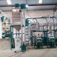 30tpd Maize Flour Milling Machines Corn Processing Plant