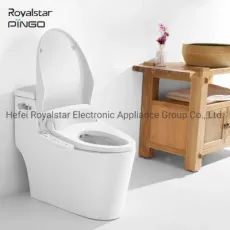 Electric Intelligent Bulit-in Bidet with Sprayer Warm Air Drying Nozzle Cleaning Electric Bidet