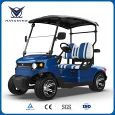 CE Certificated 4 Wheel 2 Seat Electric Car (Haike-G2)