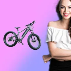 OEM Factory Electric Bike E Bike Mini Pocket Bike 500W Lithium Power Bike