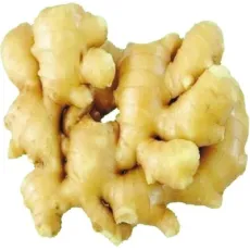 Quality Dried Fresh Ginger Market Price Per Ton Wholesale Ginger Buyers for Export in High China Ginger
