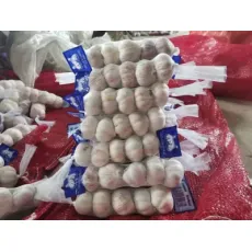 Bulk Normal White Wholesale, Hot Sales 2021 New Crop China/Chinese Fresh Garlic