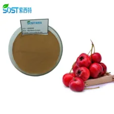 Natural Fruit Powder Chinese Hawthorn Extract P.E