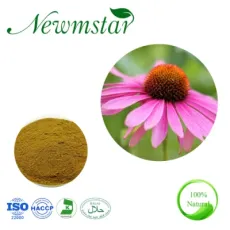 100% Natural Extract Animal Feed Polyphenols 4% / 4% Chicoric Acid Echinacea Purpurea Extract
