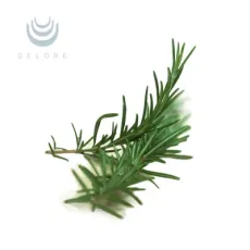Manufacturer Offer Feed Antioxidant Supplement for Animals Thyme and Rosemary Leaf Extract