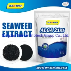 100% Water Soluble Seaweed Extract Organic Fertilizer Can Formualte with Other Chemicals or Pesitcide