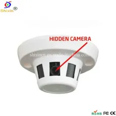 700tvl 1/3 Sony CCD Color Smoke Sensitive CCTV Camera (SX-2035-AD-7)