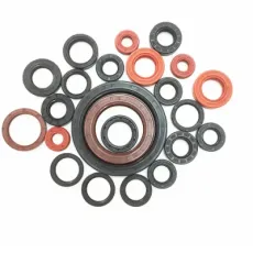 High-End Tc Lips Type Oil Seal Rubber Skeleton Oil Seal