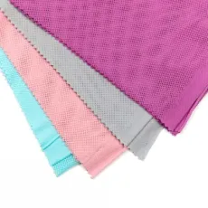 Polyester 2*2 65GSM Net/Mesh Knitted Garment Lining Fabric for Sportswear