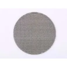 Stainless Steel Sintered 100 Micron Filter Mesh/Wire Mesh Filter Disc