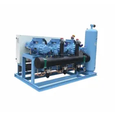 Air Cooled Chiller Heating and Cooling Air to Water Heat Pump with Scroll Compressors R410A Piston Subcooled Cold Storage Refrigeration Units