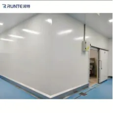 Runte Brand CE Approved New Design Fruits Vegetables Frozen Lobster Seafood Fish Fresh Meat Chicken Freezer Cold Room