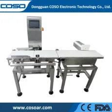 Industrial Conveyor Check Weigher/Check Weight Machine/Weight Scale