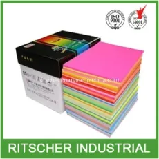 A3/A4 Color Copy Paper Printing Paper Offset Paper Writing Paper in Office Supply School Supply Office Stationery School Stationery Paper Stationery