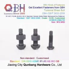 Qbh Customized Torsional Shear Tension Control Tc Bolt Nut Washer Highway Hardware