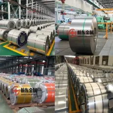 Prepainted/Color Coated/Galvanized/Zinc Coated/Galvalume/Corrugated/Aluminum/Carbon Copper/Ss400/A36/Z275/304/316L/430/904L/Stainless/PPGL/PPGI/Gl/Gi/Steel Coil