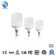 PC+Aluminum LED Bulb T60 13W 1200lm Equal to 100W Compact Fluorescent Lamp