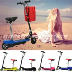 2 Wheels Foldable Adult Surfing Kick Scooter Electric Scooter