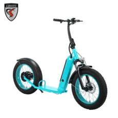 Share Rent 500W Big Wheel Battery Removable E Scooter for Snow