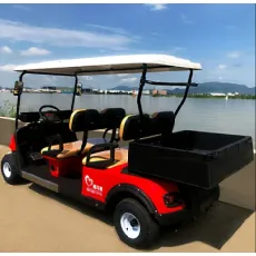 2-4 Seat Electric Golf Cart with Bucket