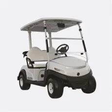 Low Price 2 Seats Golf Cart with High Quality