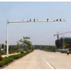 15m 20m Outdoor Traffic Signal Light Pole CCTV Camera Post