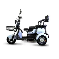 Morphing Recreational Three-Wheeled Electric Vehicle