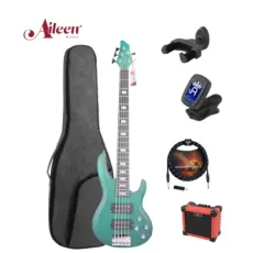 Custom 5 String Ash Body Electric Bass Guitar Kit (EBS715)