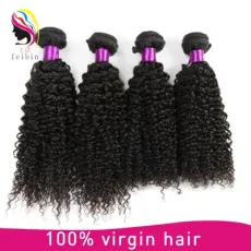 Human Brazilian Virgin Hair Afro Kinky Bulk