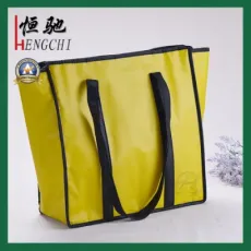Non Woven Insulated Food Cool Chiller Picnic Bag