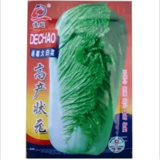 Touchhealthy Supply Good Quality Cabbage Varieties Seeds for Sowing