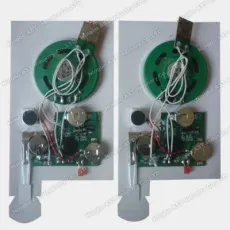 Sound Module for Greeting Cards, Recording Module
