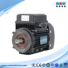 Pmsm Motor for Manufacturing Equipment for Electrical & Electronic Product