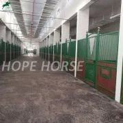 Indoor Safety Horse Stall Front Sliding Doors Stables
