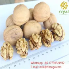 China Walnut Kernel Healthy Snack Walnuts Lion′ S Head Organic Walnut for Sale Light Yellow Amber