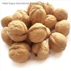 Xinjiang High-Quality Natural Crops Paper Walnut